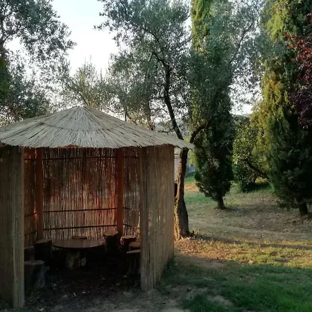 Da Coco' Lamporecchio